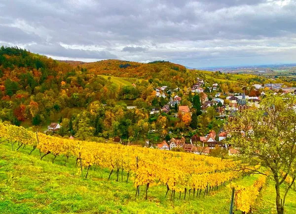 Vinodling Regionen Bergstrasse Tyskland — Stockfoto