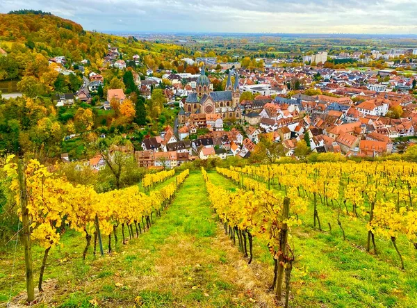 Vinice Regionu Bergstrasse Německu — Stock fotografie