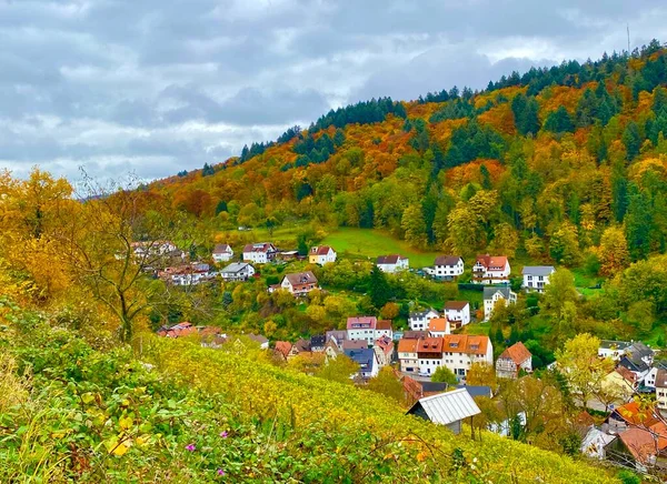 Utsikt Över Byn Heppenheim Och Skogen Bergstrasse Regionen Tyskland — Stockfoto