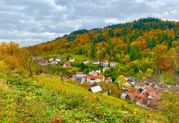 Pohled Vesnici Les Heppenheim Německém Regionu Bergstrasse — Stock fotografie