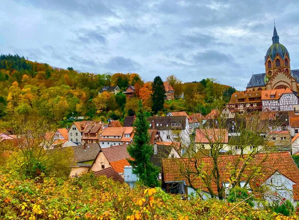 독일의 베르그 포도주 지역에 있는헤 하임이라는 아름다운 — 스톡 사진