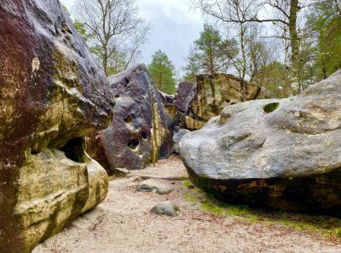 Paris yakınlarındaki Fontainebleau 'nun görkemli ormanında tarih öncesi dev kayalar.