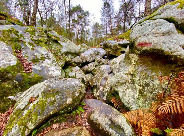 Prehistoric Giant Rocks Majestic Forest Fontainebleau Paris — Stock Photo, Image