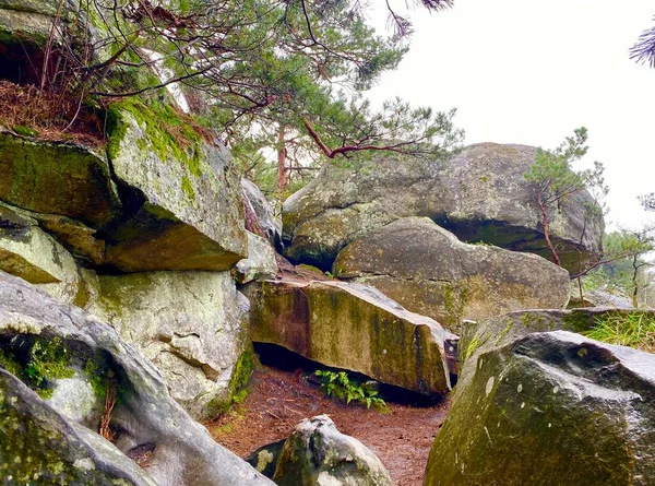 パリ近郊のフォンテーヌブローの雄大な森の中の先史時代の巨石 — ストック写真