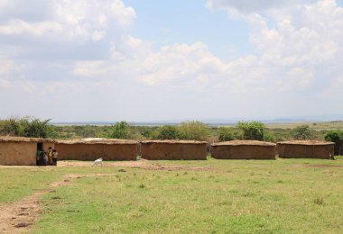 Kenya 'daki kırsal Masai köyü.