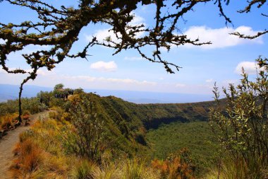 Kenya 'daki Rift Vadisi' ndeki Longonot volkanı kalderası.