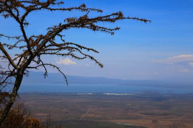 Kenya 'daki Rift Vadisi' ndeki Longonot volkanı kalderası.