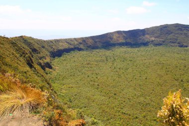 Kenya 'daki Rift Vadisi' ndeki Longonot volkanı kalderası.