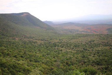 Kenya 'daki Rift Vadisi' ndeki Longonot volkanı kalderası.