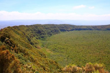 Kenya 'daki Rift Vadisi' ndeki Longonot volkanı kalderası.