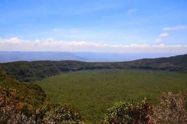 Kenya 'daki Rift Vadisi' ndeki Longonot volkanı kalderası.