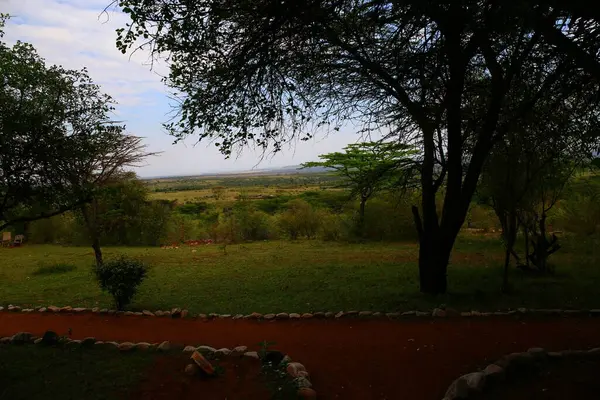 Las Llanuras Masai Mara Kenia — Foto de Stock