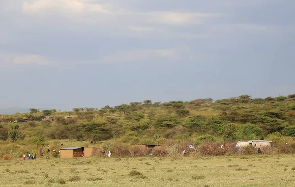 Równiny Masai Mara Kenii — Zdjęcie stockowe