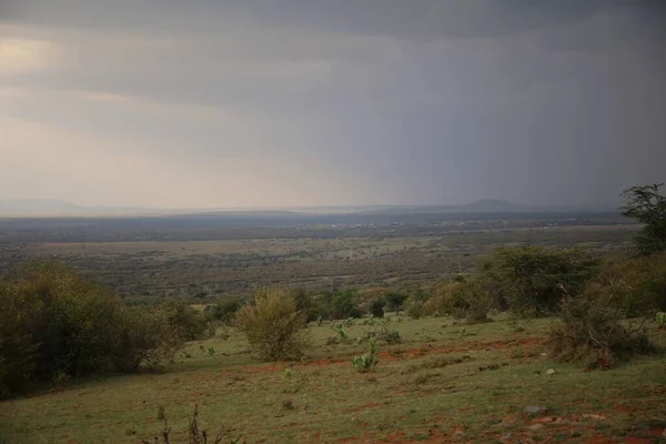 Vlaktes Van Masai Mara Kenia — Stockfoto