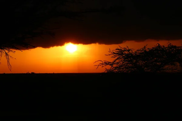 Espectacular Puesta Sol Masai Mara — Foto de Stock