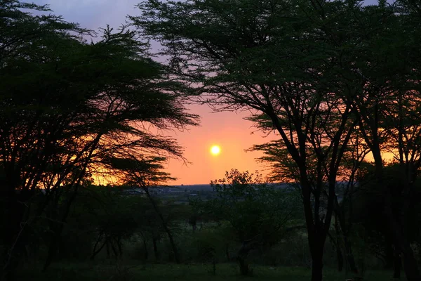 Spektakulär Solnedgång Masai Mara — Stockfoto