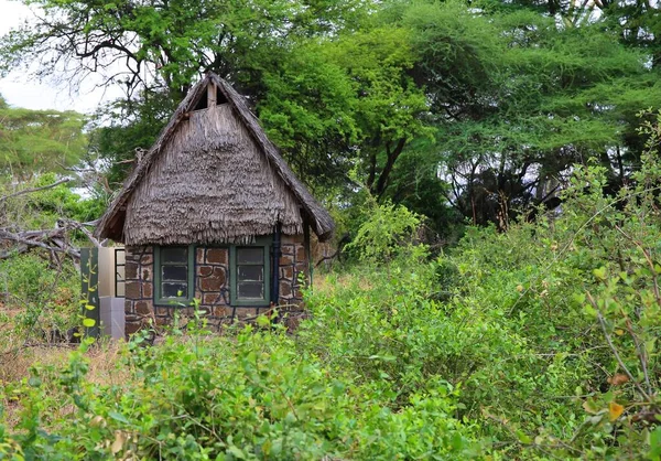 Mała Chatka Parku Narodowym Tsavo West Kenii — Zdjęcie stockowe