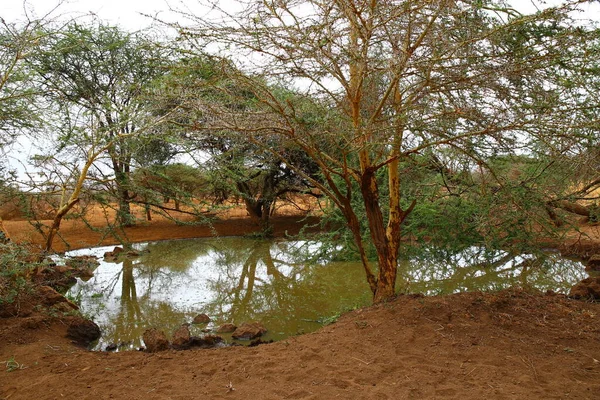 Wodospad Sawannie Tsavo West — Zdjęcie stockowe