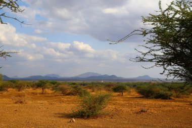 Kenya 'daki Tsavo Batı Ulusal Parkı' nda Shetani Lav Tarlaları