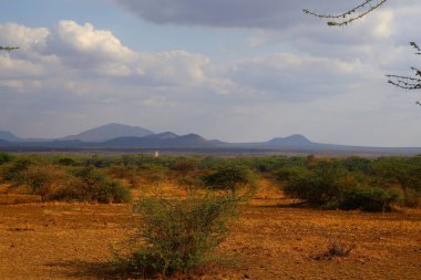 Kenya 'daki Tsavo Batı Ulusal Parkı' nda Shetani Lav Tarlaları
