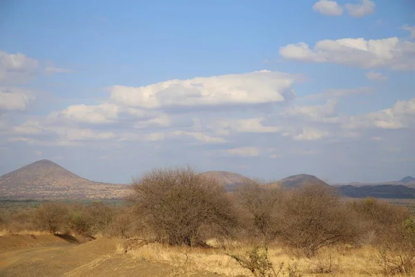 Shetani Lava Fields Στο Εθνικό Πάρκο Tsavo West Στην Κένυα — Φωτογραφία Αρχείου