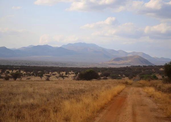 Shetani Lava Fields Het Nationale Park Tsavo West Kenia — Stockfoto