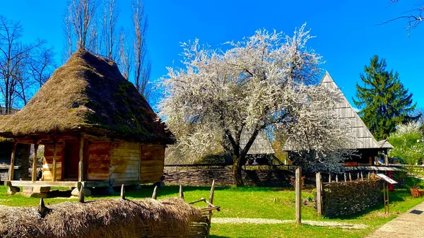 Dobře Zachovalý Tradiční Rumunský Dům Venkově — Stock fotografie