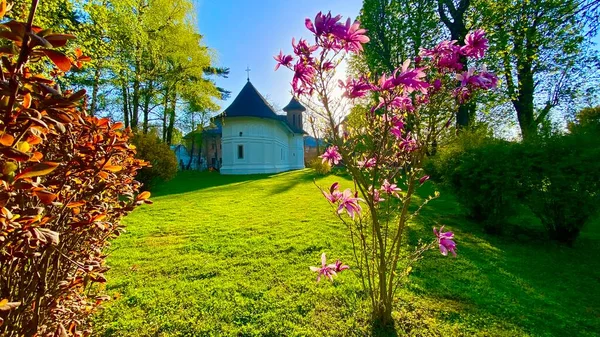 Petite Église Blanche Près Palais Mogosoaia Roumanie — Photo