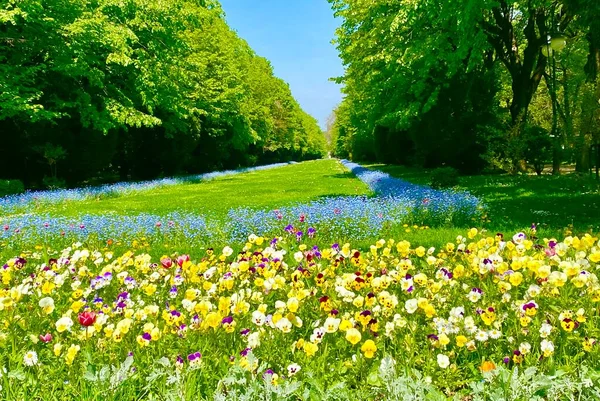 Jardin Romantique Cismigiu Dans Capitale Bucarest Roumanie — Photo