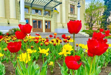 Batı Ukrayna 'nın Chernivtsi şehrindeki Olga Kobylanska Tiyatrosu' nun büyüleyici meydanı.