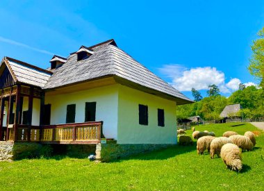 Sibiu 'daki ASTRA Etnoğrafya Müzesi' ndeki geleneksel ev