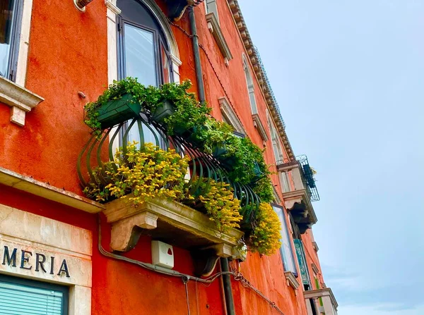 Прекрасный Балкон Цветами Мурано Венеции — стоковое фото