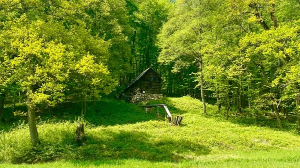 Tradiční Dům Etnografickém Muzeu Astra Sibiu — Stock fotografie