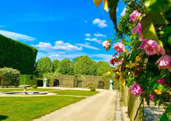 Розовый Сад Мбаппе Пригородах Парижа — стоковое фото