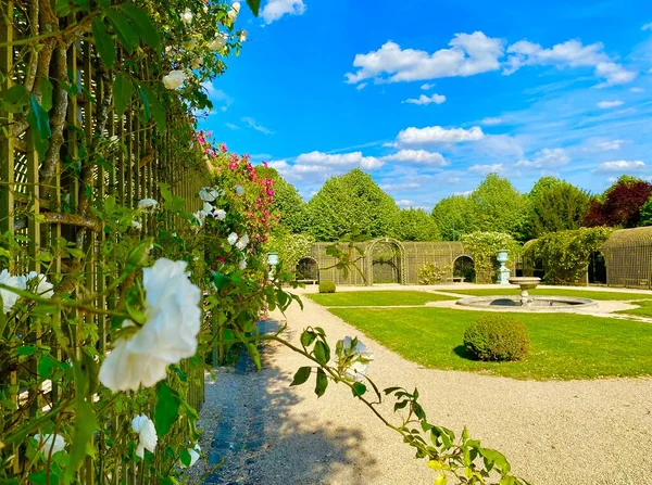 Beautiful Rose Garden Outskirts Paris — Zdjęcie stockowe