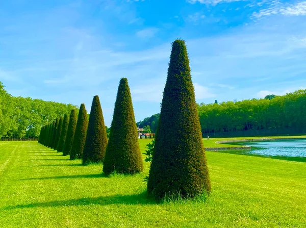 Charming Topiary Garden Park Marly Roi Paris — Stok fotoğraf