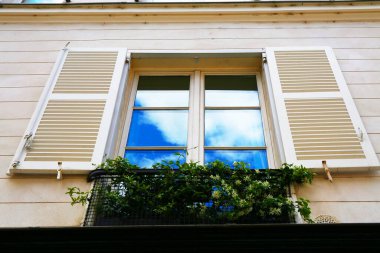 Paris 'te beyaz ahşap panjurlar.