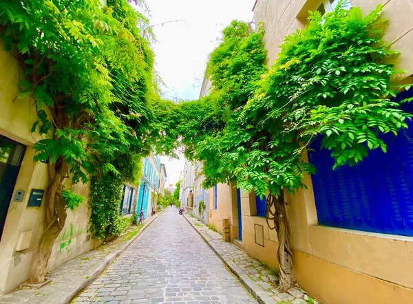 Окно Цветами Красивой Зеленой Улице Rue Termopyles Округе Парижа — стоковое фото