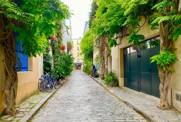 Okno Kwiatami Pięknej Zielonej Ulicy Rue Termopyles Dzielnicy Paryża — Zdjęcie stockowe