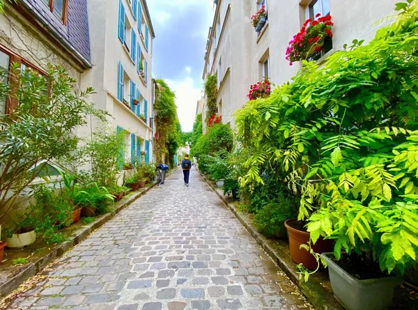 Ablak Virágokkal Gyönyörű Zöld Utcában Rue Termopyles Párizsban Arrondissement — Stock Fotó