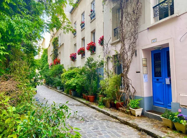パリの美しい緑の通りに花が咲く窓14区 — ストック写真