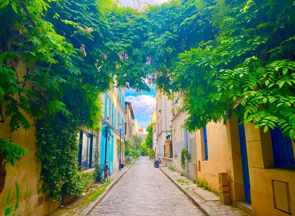 Janela Com Flores Bela Rua Verde Rue Termopyles Paris Arrondissement — Fotografia de Stock