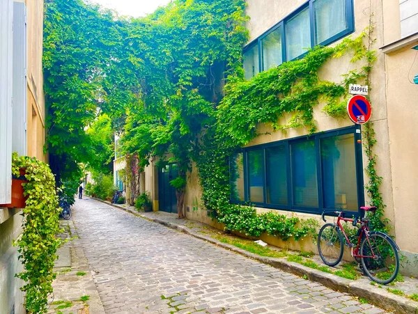 パリの美しい緑の通りに花が咲く窓14区 — ストック写真