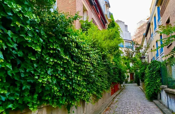 Одна Самых Зеленых Красивых Улиц Парижа — стоковое фото