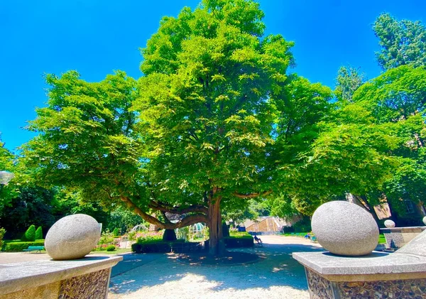 Den Hemliga Rosenträdgården Vid Square Rene Gall Paris — Stockfoto