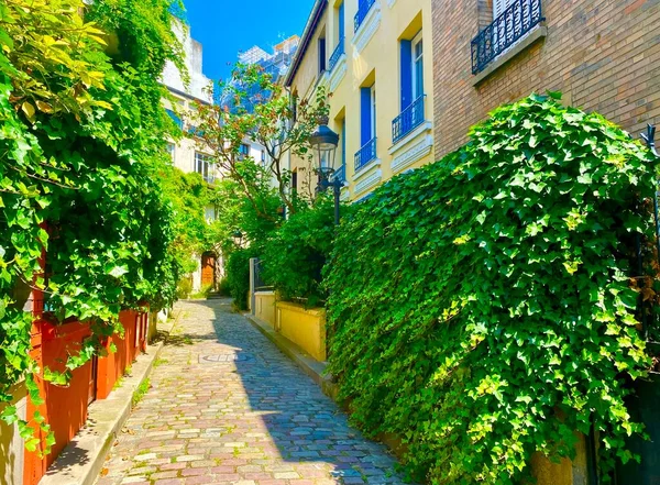 巴黎美丽舒适的绿色街道 — 图库照片