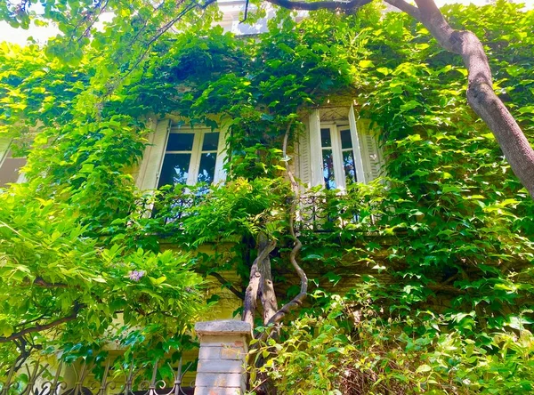 Krásná Útulná Zelená Ulice Paříži — Stock fotografie