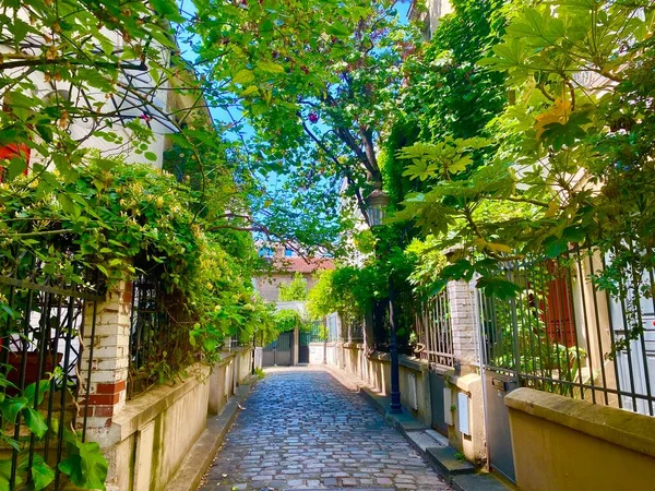 パリの美しい居心地の良い緑の通り — ストック写真