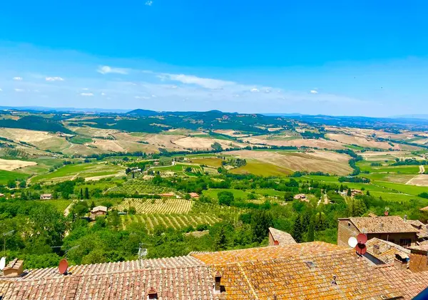 Beautiful Views Olive Groves Tuscany — Stock Photo, Image