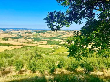 Toskana tepelerinin muhteşem manzarası.